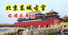 干闺密美穴视频中国北京-东城古宫旅游风景区